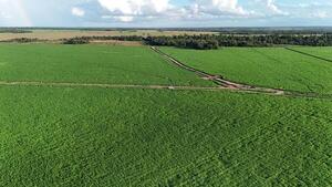 Campos en el Mercosur: un inicio de 2026 marcado por la demanda y la relocación de capitales