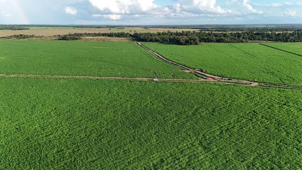 Campos en el Mercosur: un inicio de 2026 marcado por la demanda y la relocación de capitales