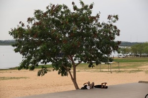 Oxford: Paraguay entre los países más golpeados por el calor
