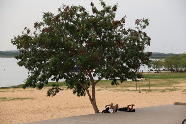 Oxford: Paraguay entre los países más golpeados por el calor