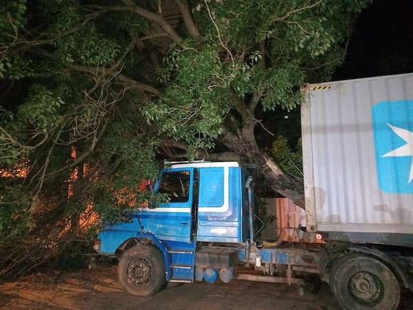 San Lorenzo: camión de gran porte provocó caída de árbol y cables de la ANDE - Policiales - ABC Color