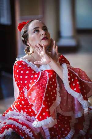 Flamenco abierto: una experiencia de danza y emoción en Casa Sigilos - Cultura - ABC Color