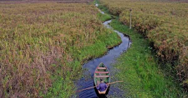 La Nación / El turismo interno
