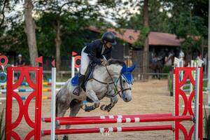 "Los caballos son más fieles que los hombres"