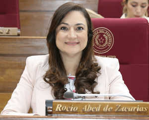 Honor Colorado definirá su liderazgo en Diputados en marzo