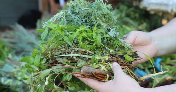 Diario HOY | Imputan a yuyero que habría manoseado a niña en Ñemby