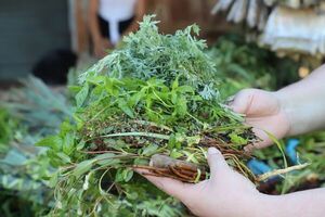 Imputan a yuyero que habría manoseado a niña en Ñemby