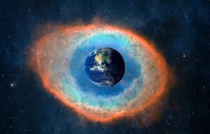 Si la vida animal se extinguiera del planeta, ¿qué especie resistiría más tiempo? - Ciencia - ABC Color