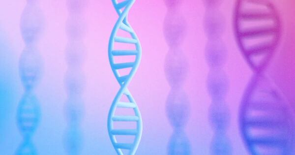 La Nación / AlphaGenome, nueva herramienta de IA para entender el genoma humano