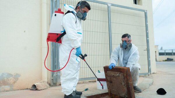 MIC reporta un crecimiento en el sector de servicios con 1.100 nuevas inscripciones en 2025