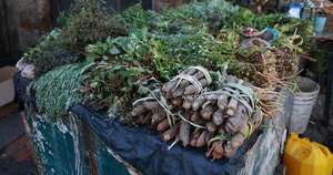 La Nación / Ñemby: Fiscalía imputó a yuyero que manoseó a una niña y pidió prisión preventiva