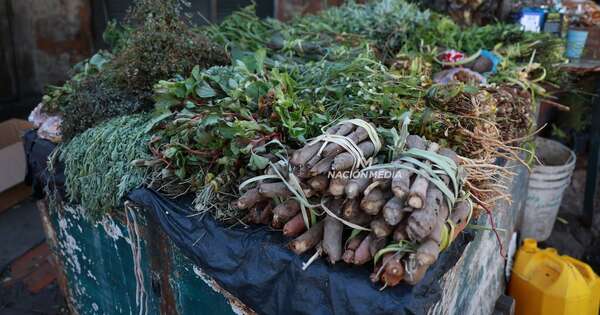 La Nación / Ñemby: Fiscalía imputó a yuyero que manoseó a una niña y pidió prisión preventiva