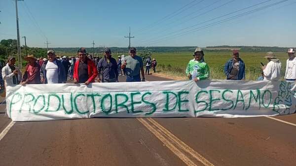 Productores de sésamo levantan movilización en San Pedro y anuncian reunión con autoridades - Nacionales - ABC Color
