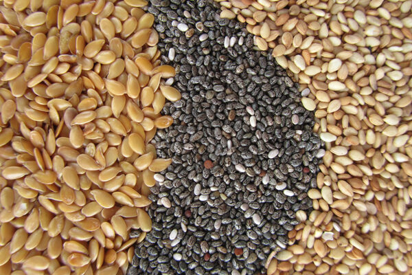 Ganancias del Sésamo y la Chía podrían beneficiar a 30.000 familias con Acuerdo UE-Mercosur