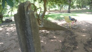 Edil pide informes sobre estado de plazas públicas de Asunción