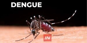 CERO CASOS DE DENGUE CONFIRMADOS EN ITAPÚA EN EL INICIO DE 2026
