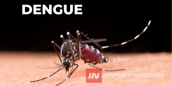 CERO CASOS DE DENGUE CONFIRMADOS EN ITAPÚA EN EL INICIO DE 2026