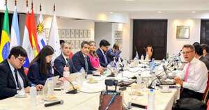 La Nación / Paraguay dirigió la reunión del Grupo de Relacionamiento Externo del Mercosur