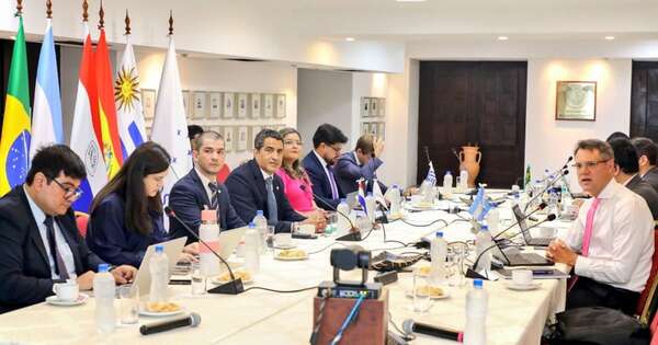 La Nación / Paraguay dirigió la reunión del Grupo de Relacionamiento Externo del Mercosur