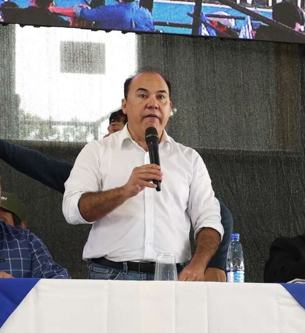 PLRA: Fleitas advierte sanciones por apoyo a "Yo Creo"