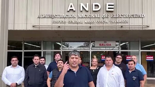 Piden a Contraloría intervenir en tarifas de ANDE para las IA