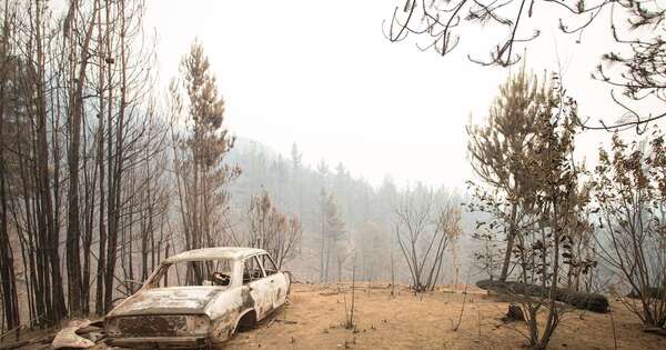 La Nación / Milei decreta emergencia por incendios en la Patagonia argentina