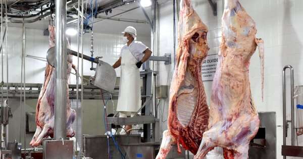 Diario HOY | Alto precio de la carne: Conacom investiga a siete frigoríficos