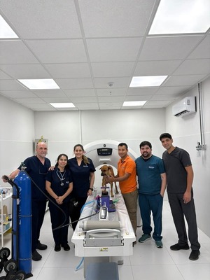 Popular / Canela hará historia y recibirá la primera prótesis mandibular