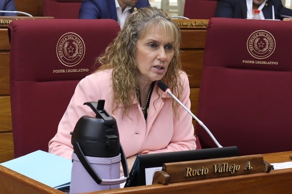 Diputada cuestiona tratamiento acelerado de la reforma de la Caja Fiscal