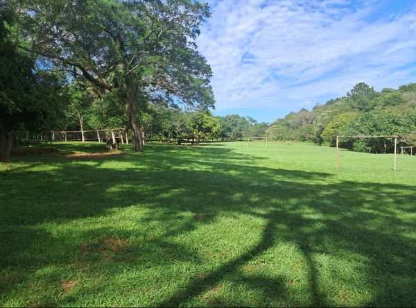 Clima en Paraguay: Viernes caluroso