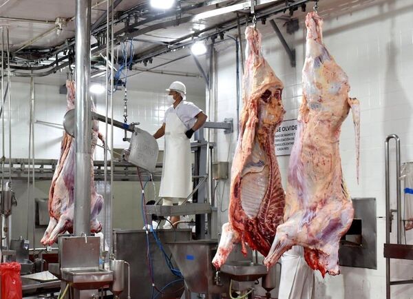 Alto precio de la carne: Conacom investiga a siete frigoríficos