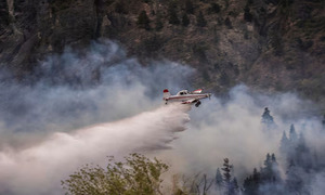 Lluvias dan alivio parcial a los incendios en la Patagonia, pero persiste el riesgo de rebrote - OviedoPress