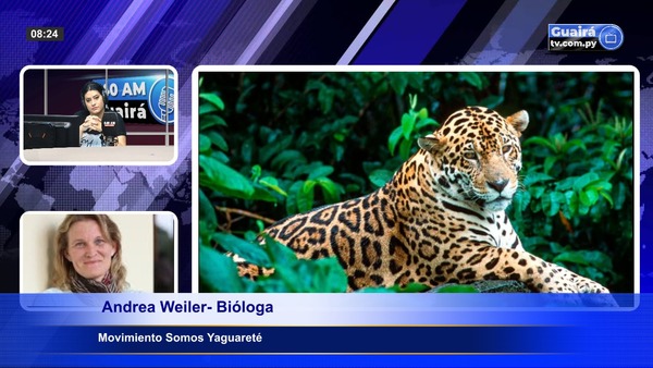 PROYECTO IMPULSA MÉTODOS AMIGABLES PARA PROTEGER AL YAGUARETÉ