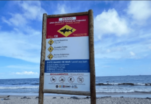 Menor de 13 años murió atacado por un tiburón en playa brasileña