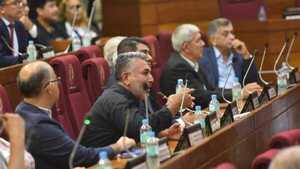 Audiencia pública: "Por qué no revisan primero sus jubilaciones", reclaman docentes al Congreso