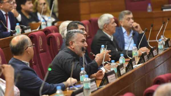 Audiencia pública: "Por qué no revisan primero sus jubilaciones", reclaman docentes al Congreso