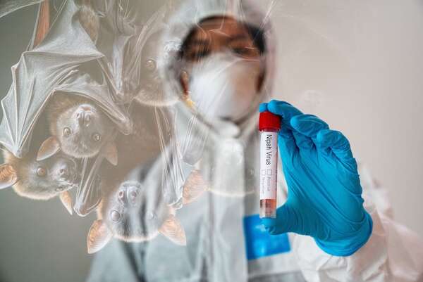 Brote de Nipah en la India: todo lo que necesitás saber sobre este virus letal - Ciencia - ABC Color