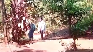 Hombre es buscado por propinar crueles golpes a un perro en Itapúa