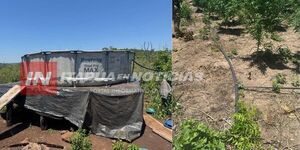 ITAPUA: CULTIVOS DE MARIHUANA TENÍAN HASTA SISTEMA DE REGADÍO