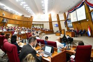 En debate por Caja Fiscal, docente cuestiona a parlamentarios que nombran a amigos y parientes - Política - ABC Color