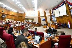 Caja Fiscal: economistas advierten que aun con esta reforma, déficit seguiría costando caro al Estado - Economía - ABC Color