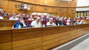 Caja Fiscal: Docentes y fuerzas públicas solicitan postergación del tratamiento en Diputados  - Economía - ABC Color