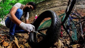 Dengue: Notificaciones aumentan 21% a nivel nacional