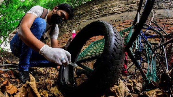 Dengue: Notificaciones aumentan 21% a nivel nacional