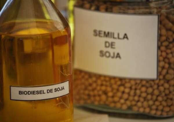 Unión Europea impone “nuevas barreras” al aceite de soja del Mercosur - ABC Rural - ABC Color
