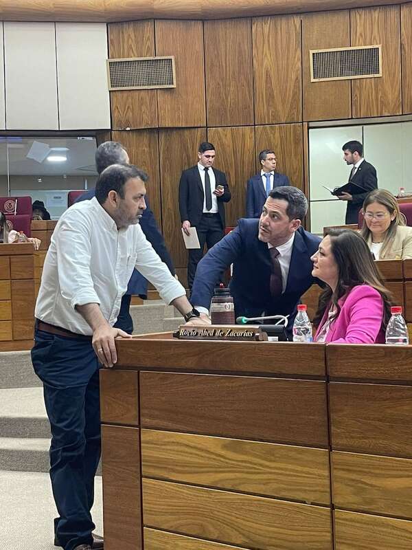 ¿Con Alliana en las sombras?: Cartistas siguen sin definir nuevo líder en Diputados - Política - ABC Color