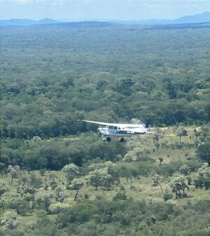 Fuerza Aérea detecta aeronave ilícita en el espacio aéreo de Concepción - Concepción al Día