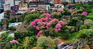 La Nación / Un libanés, aficionado a la fotografía, capta el mejor perfil de Ciudad de Este