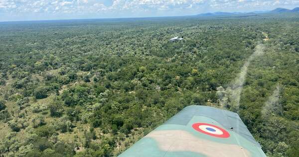 La Nación / Concepción: detectan aeronave ilícita que tras la intercepción de un Super Tucano huyó
