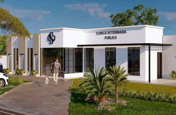 Encarnación contará con la primera clínica veterinaria pública en el interior del país - Nacionales - ABC Color